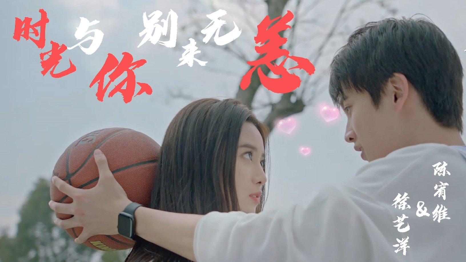 完美的收藏品